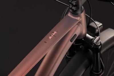 Cube Aim SLX FE rustyrose'n'peach Gr&ouml;&szlig;e: S Produktbild 1