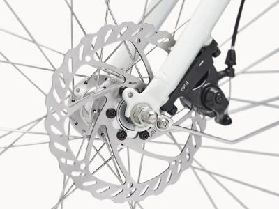 Electra Loft Go! 7D Step Thru EU S Stardust Produktbild 8