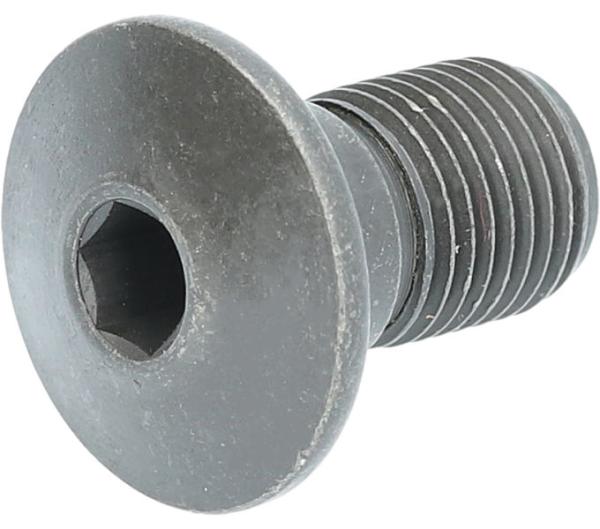 SHIMANO Achse für Schaltwerkhalter RD-TZ500 Direktmontage